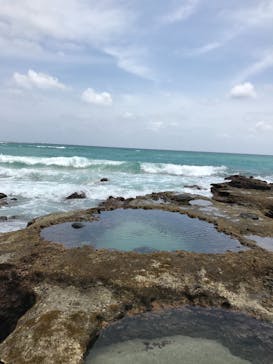 アマミエンシスに投稿された画像（2017/4/28）