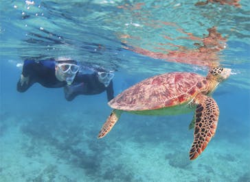 アマミエンシスに投稿された画像（2017/9/27）