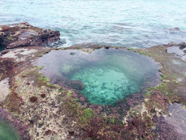 アマミエンシスに投稿された画像（2016/5/9）