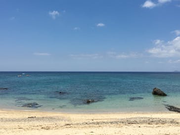 アマミエンシスに投稿された画像（2017/8/23）