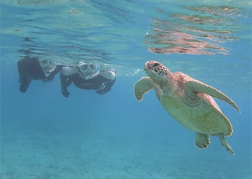 アマミエンシスに投稿された画像（2017/2/12）