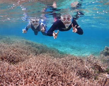 アマミエンシスに投稿された画像（2017/5/18）