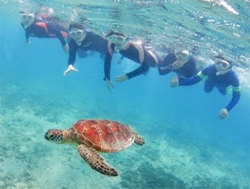 アマミエンシスに投稿された画像（2017/8/16）