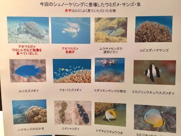 アマミエンシスに投稿された画像（2017/2/1）