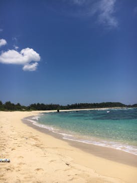 アマミエンシスに投稿された画像（2017/5/18）