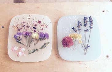 オレンジろうそくに投稿された画像（2016/9/8）