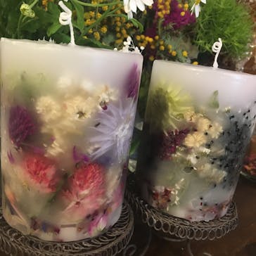 オレンジろうそくに投稿された画像（2017/2/27）