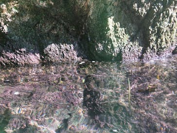 鳥取県自然体験塾に投稿された画像（2017/9/25）