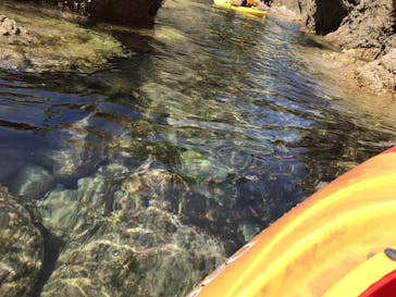 鳥取県自然体験塾に投稿された画像（2017/7/11）