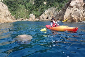 鳥取県自然体験塾に投稿された画像（2016/9/8）