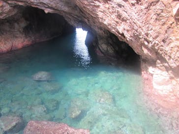 鳥取県自然体験塾に投稿された画像（2017/9/24）