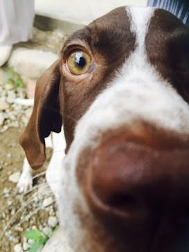 愚陶庵に投稿された画像（2016/7/19）