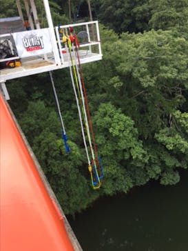 BUNGY JAPAN開運バンジーに投稿された画像（2017/8/15）