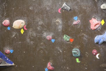 Ever Free Climbing Gym（エバーフリークライミングジム）に投稿された画像（2016/11/7）