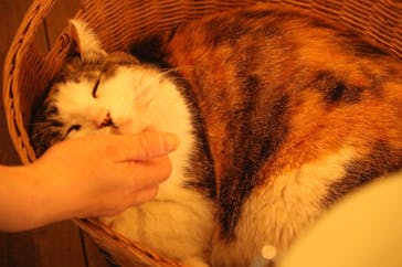 陶器のモノコト屋 ボクノワタシノに投稿された画像（2017/4/6）