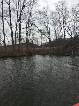 レイクサイドとうろに投稿された画像（2017/5/7）