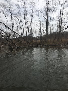 レイクサイドとうろに投稿された画像（2017/5/7）