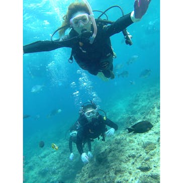 武藤潜水に投稿された画像（2017/7/3）