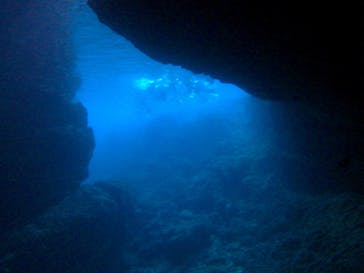 武藤潜水に投稿された画像（2017/3/13）