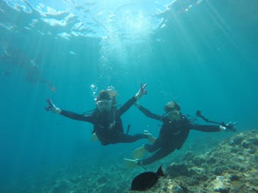 武藤潜水に投稿された画像（2017/8/18）