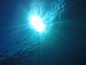 武藤潜水に投稿された画像（2017/9/15）