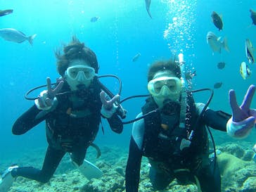 武藤潜水に投稿された画像（2017/6/10）