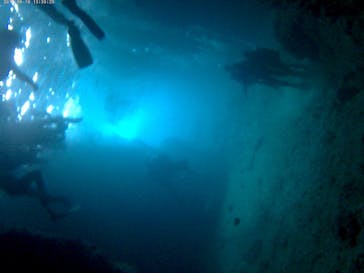 武藤潜水に投稿された画像（2017/8/10）