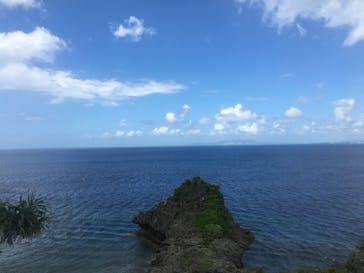 武藤潜水に投稿された画像（2017/7/30）