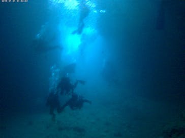 武藤潜水に投稿された画像（2017/8/10）