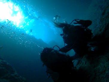 武藤潜水に投稿された画像（2017/4/24）