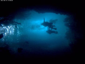 武藤潜水に投稿された画像（2017/8/14）