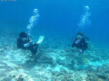 武藤潜水に投稿された画像（2017/8/14）