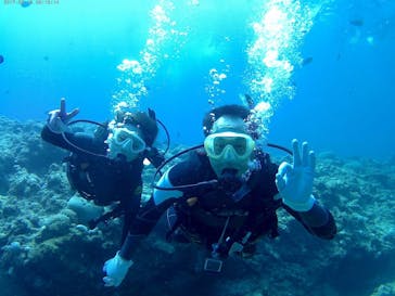 武藤潜水に投稿された画像（2017/8/13）