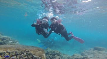 武藤潜水に投稿された画像（2017/9/29）