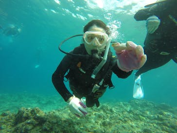 武藤潜水に投稿された画像（2017/8/15）