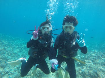 武藤潜水に投稿された画像（2017/8/18）