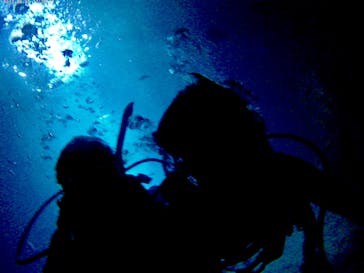 武藤潜水に投稿された画像（2017/8/8）