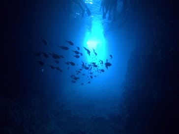 武藤潜水に投稿された画像（2017/8/30）