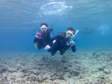 武藤潜水に投稿された画像（2017/7/4）