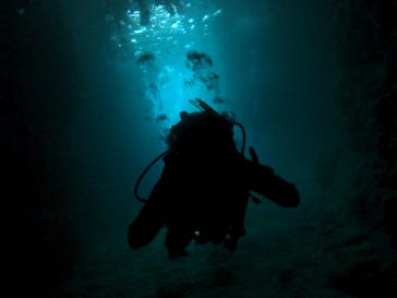 武藤潜水に投稿された画像（2017/3/13）