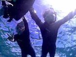武藤潜水に投稿された画像（2017/8/21）