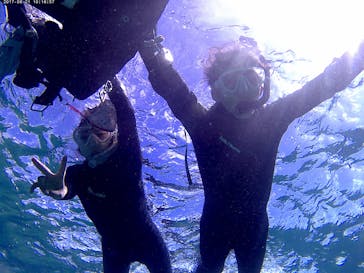 武藤潜水に投稿された画像（2017/8/21）