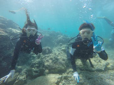 武藤潜水に投稿された画像（2017/9/28）