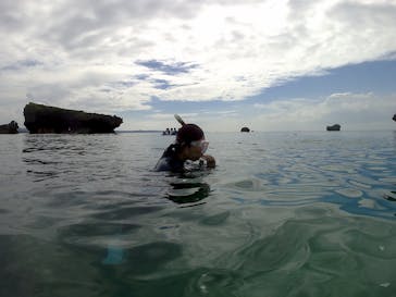 武藤潜水に投稿された画像（2017/6/5）