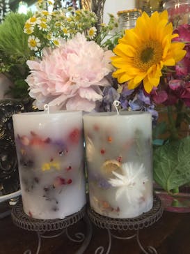 オレンジろうそくに投稿された画像（2016/6/10）