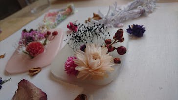 オレンジろうそくに投稿された画像（2016/8/20）