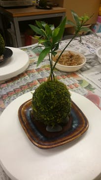 カルチャースクールいろはに投稿された画像（2017/8/30）