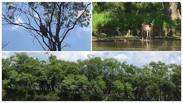 B&B かむほーむに投稿された画像（2017/6/23）