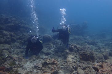 屋久島自然案内に投稿された画像（2017/8/9）