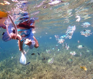 ハピネスマリン倶楽部に投稿された画像（2017/8/17）